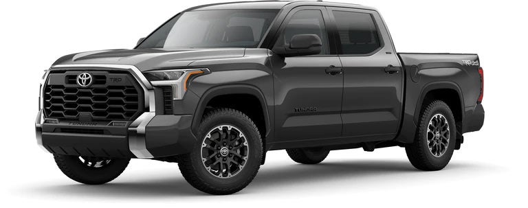 2022 Toyota Tundra SR5 in Magnetic Gray Metallic | Toyota World of Lakewood in Lakewood NJ