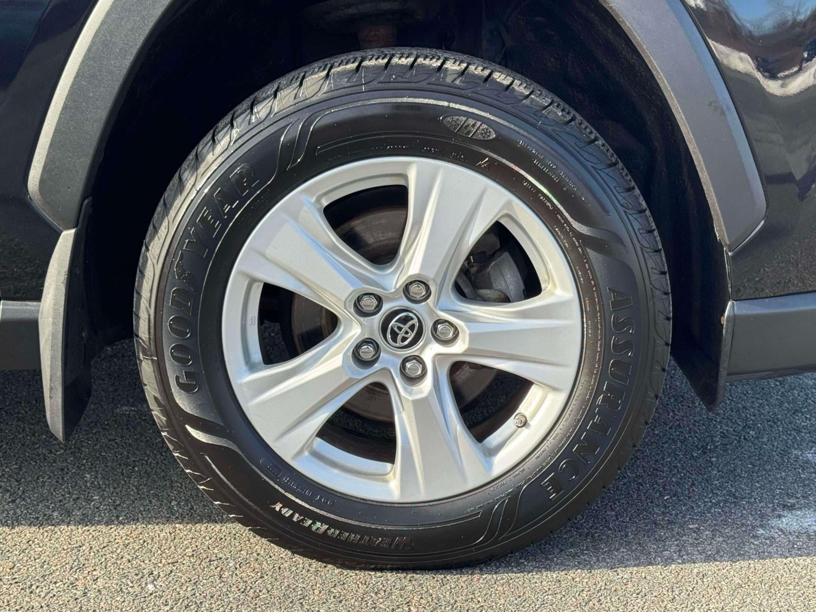 2019 Toyota RAV4 XLE AWD (Natl)