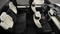2025 Toyota Tundra i-FORCE MAX Tundra Capstone